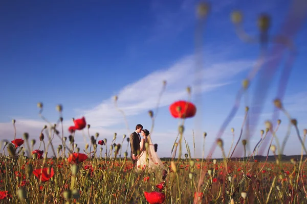 Jonggehuwden wandelen in veld — Stockfoto