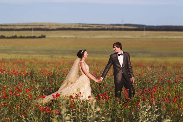 Jeunes mariés marchant dans un champ en fleurs — Photo