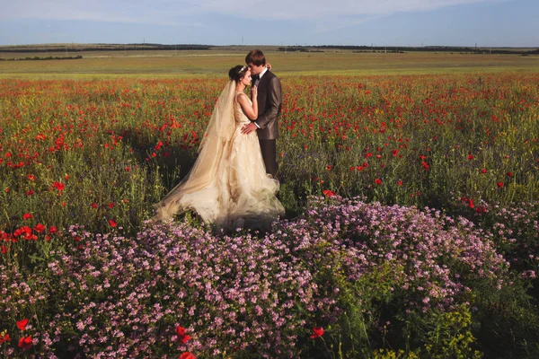 Wandelen door bloeiende bloemen veld jonggehuwden. — Stockfoto