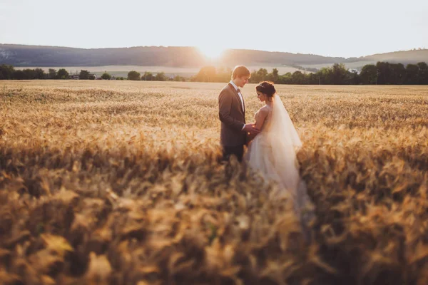 Älskar par i vetefält i solljus. — Stockfoto