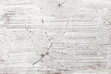 tropik bitkiler şekilleri ile arka plan