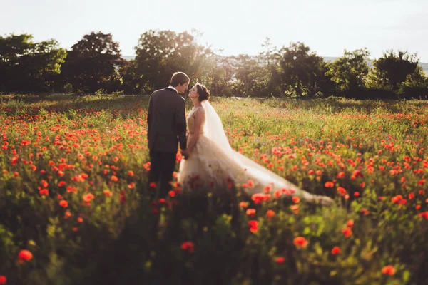 Les jeunes mariés marchant dans des fleurs florissantes étonnantes — Photo