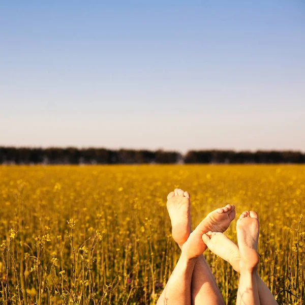 Голые ноги пары в поле — стоковое фото