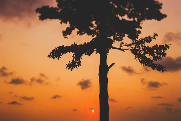 Sonnenuntergang auf tropischen Inseln — Stockfoto