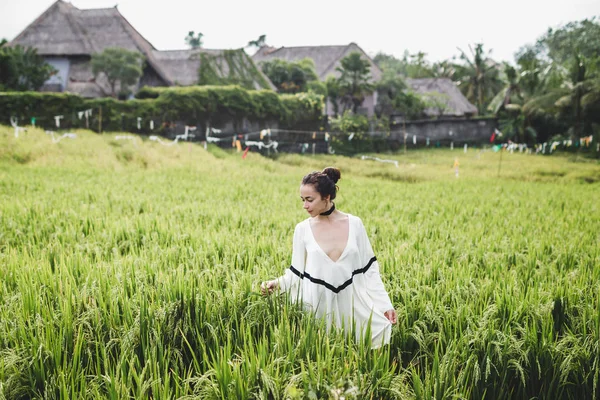 Женщина на рисовом поле — стоковое фото