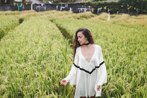 Mujer en el campo de arroz —  Fotos de Stock