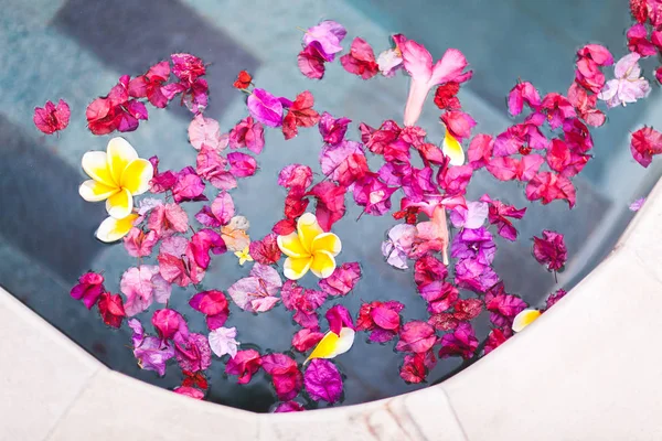 Flores en la superficie de agua limpia — Foto de Stock