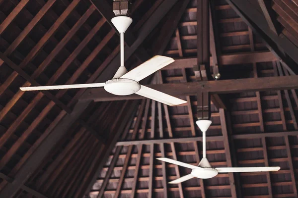 Old ceiling fans — Stock Photo, Image