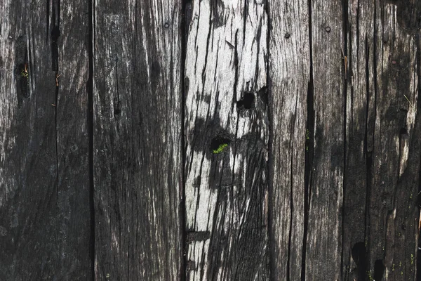 오래 된 나무 결 — 스톡 사진