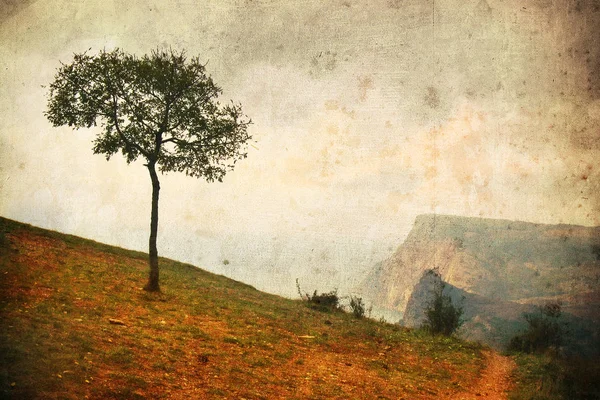 Lonely tree in aged textured art background. — Stock Photo, Image