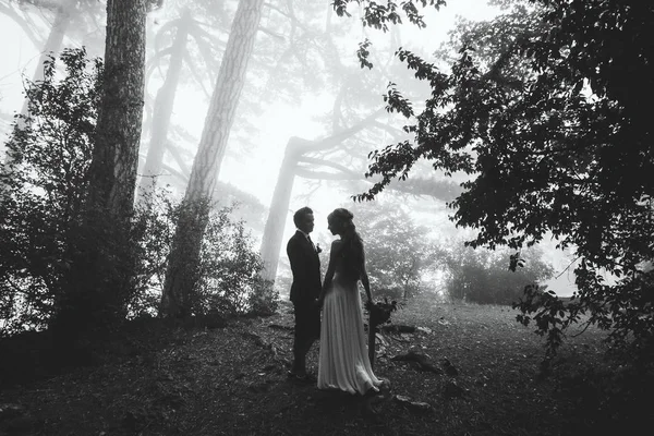 Novia y novio caminando en el bosque de otoño —  Fotos de Stock