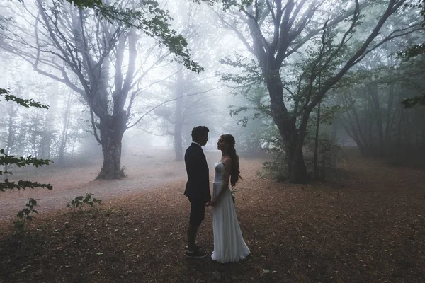 Novia y novio caminando en el bosque —  Fotos de Stock