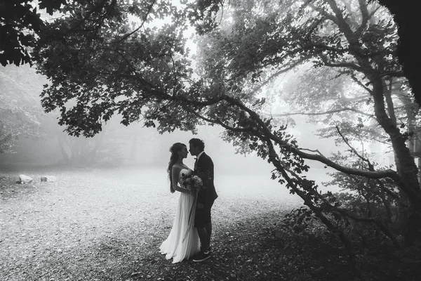 Brudparet kysser i skogen — Stockfoto