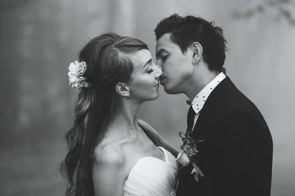 Hermosa pareja besándose —  Fotos de Stock