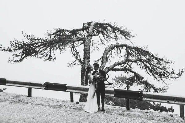 Recién casados con árbol enorme —  Fotos de Stock