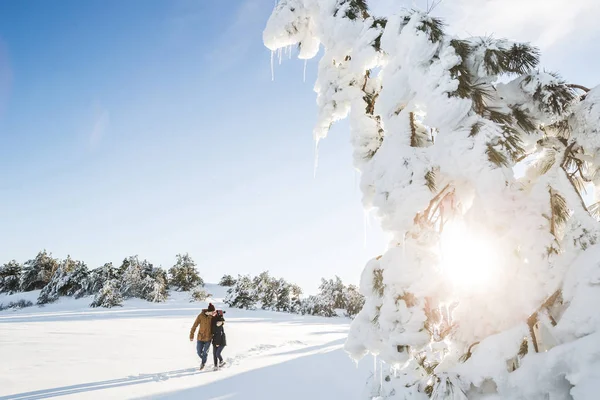 Couple amoureux marchant dans la forêt d'hiver — Photo