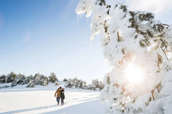 Casal apaixonado andando na floresta de inverno — Fotografia de Stock