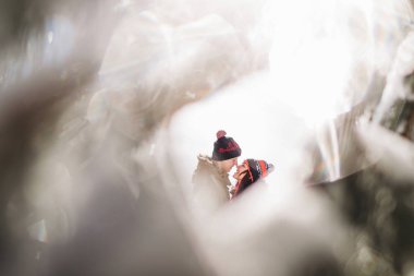 seven çift Kış portresi