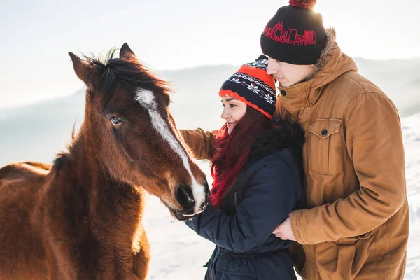 Coppia petting e alimentazione cavallo — Foto Stock