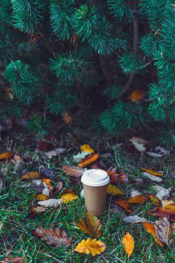 kağıt kahve fincanı 