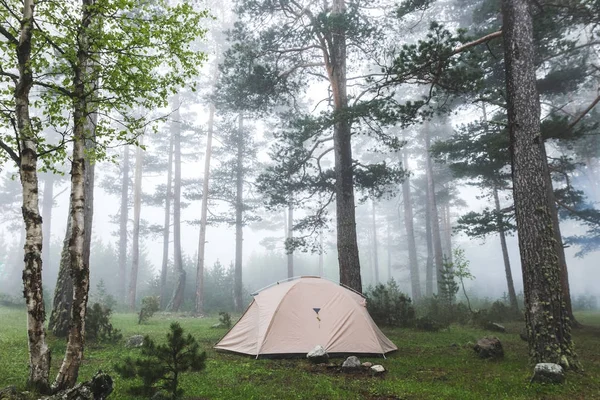 Tenda na floresta nebulosa — Fotografia de Stock