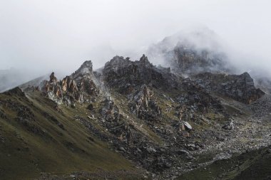 Alp yatay, yoğun sis