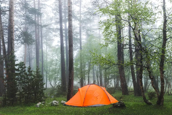 Orangefarbenes Zelt im nebligen Wald — Stockfoto