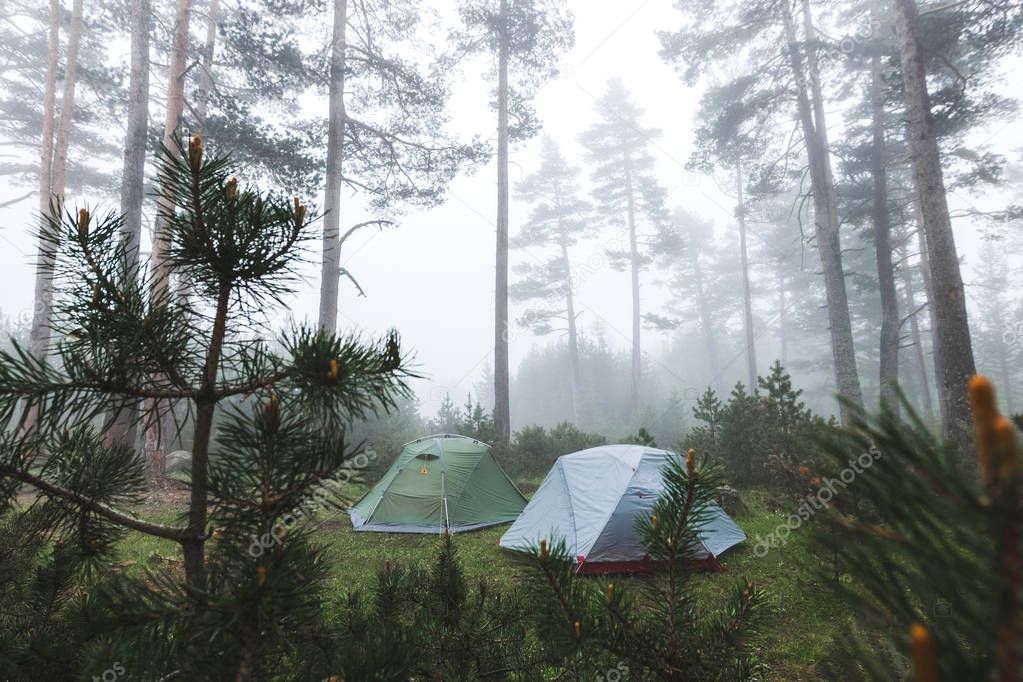two tents in foggy forest