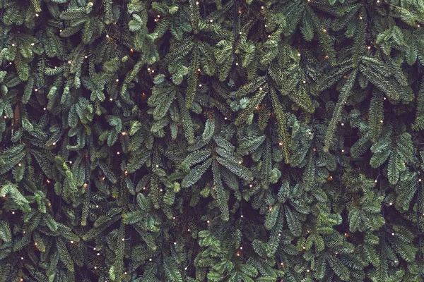 Garlands 및 녹색 소나무 전나무 가지 — 스톡 사진