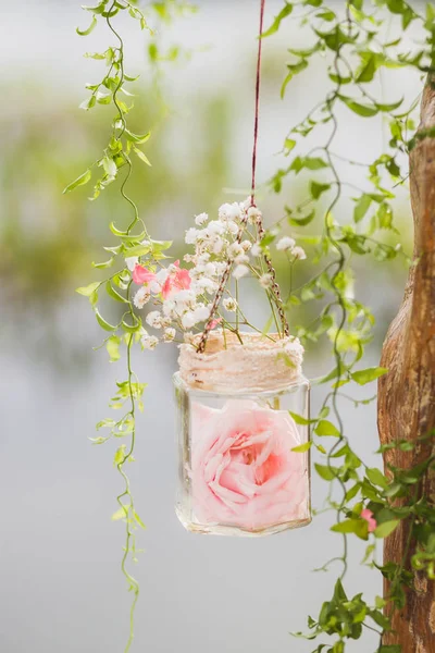 rose in transparent hanging jar