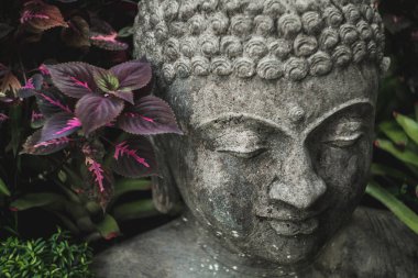 Taş Buda 'nın yüzü yakın plan. El yapımı balla oyulmuş Buda heykeli