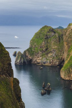 İzlanda 'daki Vestmannaeyjar Adası' nın inanılmaz kayalık kıyı şeridi. Hig.