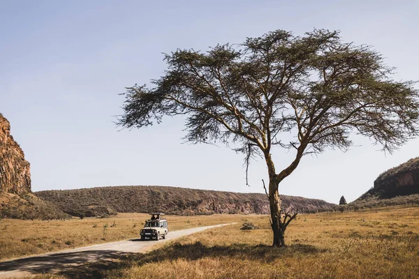 Safari en el parque nacional Hell 's Gate en Kenia. Off road jeep car , —  Fotos de Stock
