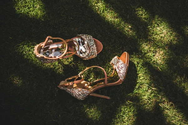 Шинные, гламурные, модные женские туфли на высоком каблуке, украшенные wi — стоковое фото