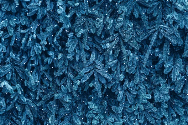 装饰有花环和蓝色松树枝条的墙体结构 — 图库照片