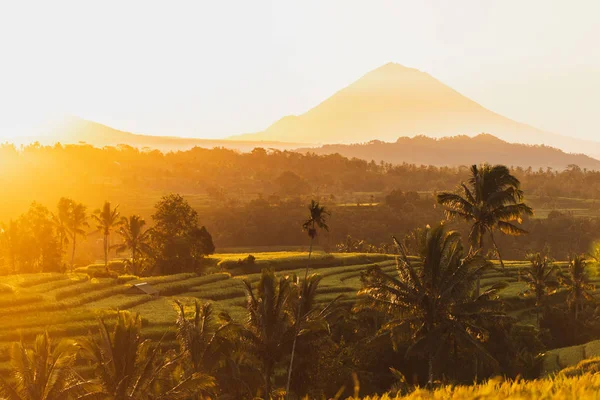 Atemberaubend warmer orangefarbener Sonnenaufgang über berühmten Jatiluwih-Reisterrassen — Stockfoto