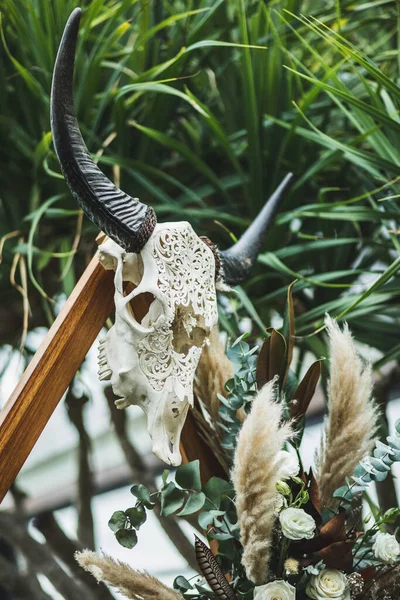 Cráneo de animal blanco decorado y tallado con cuernos negros en boho —  Fotos de Stock