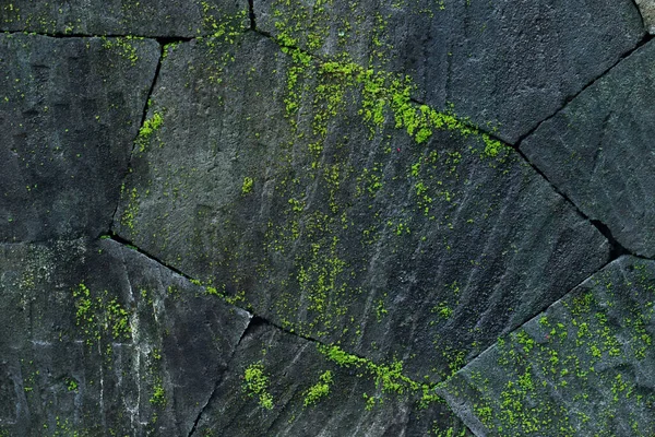 Schwarzer Steinmauer Hintergrund mit grünem Moos und Flechten. Natur t — Stockfoto