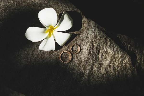 Два Золотых Обручальных Кольца Цветок Франджипани Каменном Текстурированном Фоне Контрастный — стоковое фото