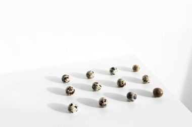 Beyaz masa arkasında bıldırcın yumurtası. Paskalya için alışılmadık ve farklı bir fotoğraf. Güzel güneş ışığı. Paschal konsepti.