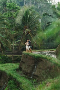 Ubud pirinç teraslarının muhteşem manzaralı genç Latin Amerikalı çift. Bali 'de mutlu bir balayı. Seyahat yaşam tarzı.