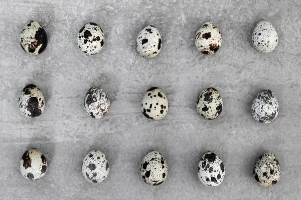 Αυγά Ορτυκιού Γκρι Τσιμεντένιο Φόντο Πασχαλινή Υφή Και Έννοια Paschal — Φωτογραφία Αρχείου