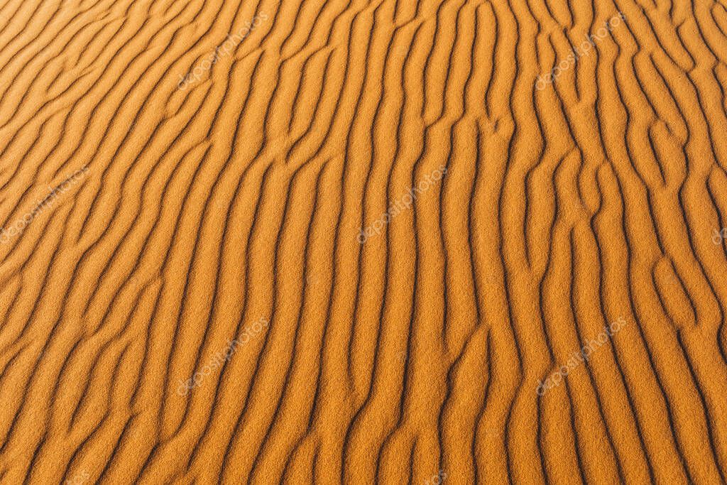 Orange texture of sand dune. Abstract shape, background, shadow and sun light. Sahara desert.