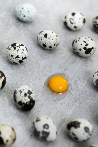 Πολλά Αυγά Ορτυκιού Γκρι Τσιμέντο Φόντο Ένα Αυγό Σπασμένο Κρόκος — Φωτογραφία Αρχείου