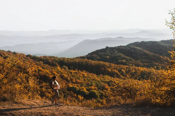 美しい秋の山の景色を望む丘の上にトレッキングスティックで妊娠中の女性ノルディックウォーキング 妊娠中の活動や出産時間中の健康的なライフスタイル 旅行のコンセプト — ストック写真