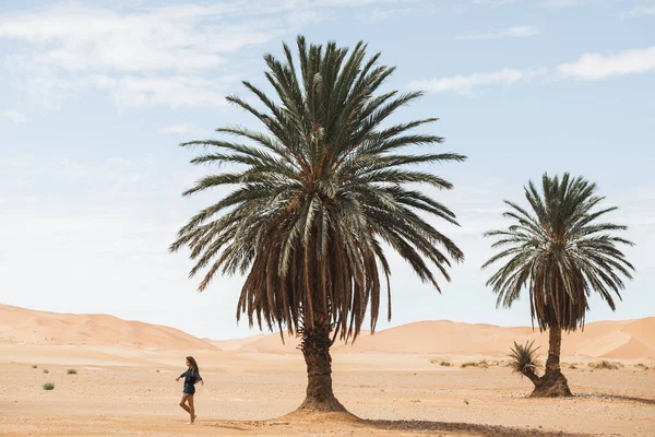 Mulher Caminhando Belo Deserto Com Dunas Areia Uma Palma Solitária — Fotografia de Stock