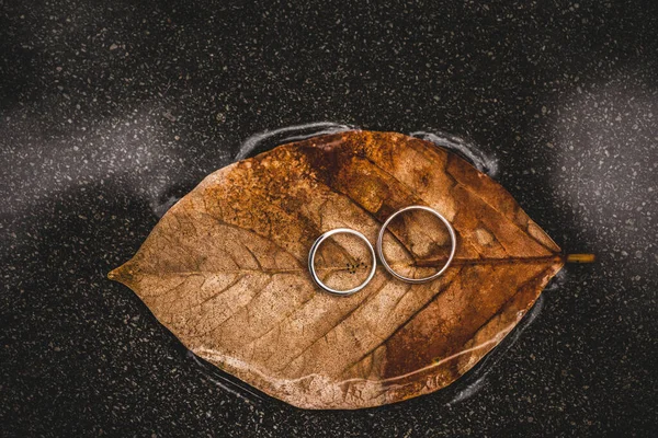 Két Jegygyűrű Barna Őszi Levél Felszínén Vízen Luxus Márka Bemutatása — Stock Fotó
