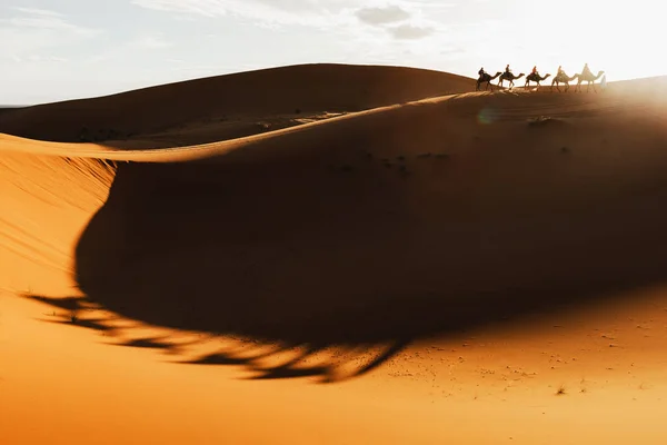 Kamelkarawanengruppe Wüstensanddünen Bei Sonnenuntergang Mit Schönen Schatten Touristische Unterhaltung Marokko — Stockfoto