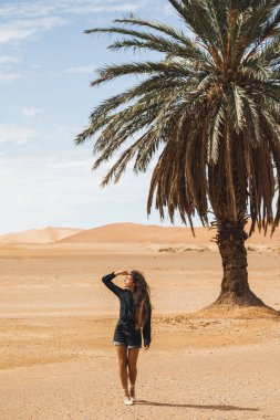 Kum tepeleri ve yalnız bir palmiyeyle çölde yürüyen güzel bir kadın. Fas 'a, Sahra' ya, Merzouga 'ya git. Özgürlük ve seyahat kavramı.