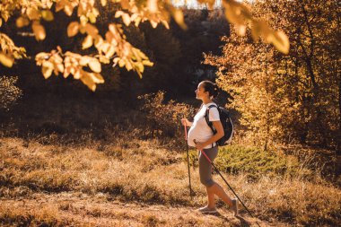 Hamile bir kadın sonbahar ormanında sırt çantası ve yürüyüş çubuklarıyla yürüyor. Doğum zamanında sağlıklı ve aktif bir yaşam tarzı. Sağlık için hamilelik alıştırmaları.